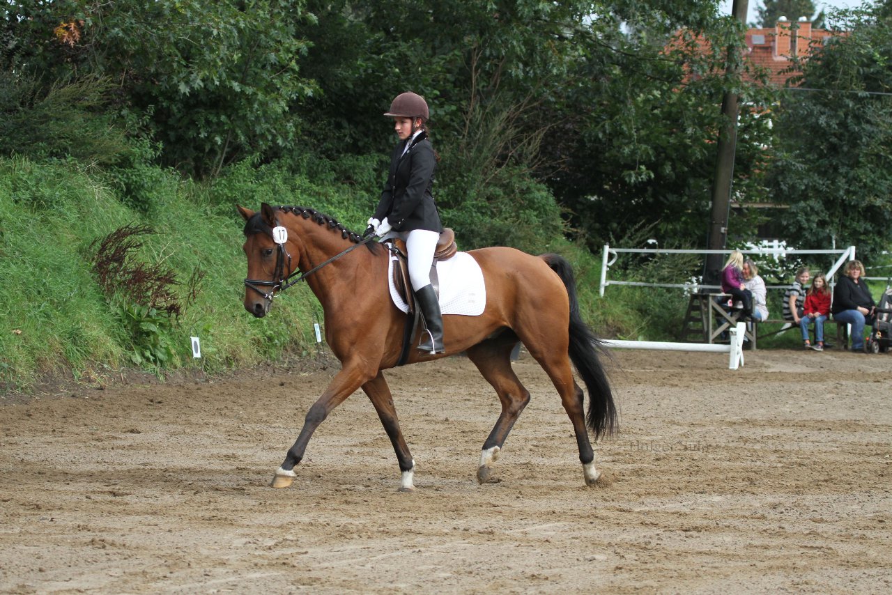 Bild 193 - WBO-Turnier am 18.9.11